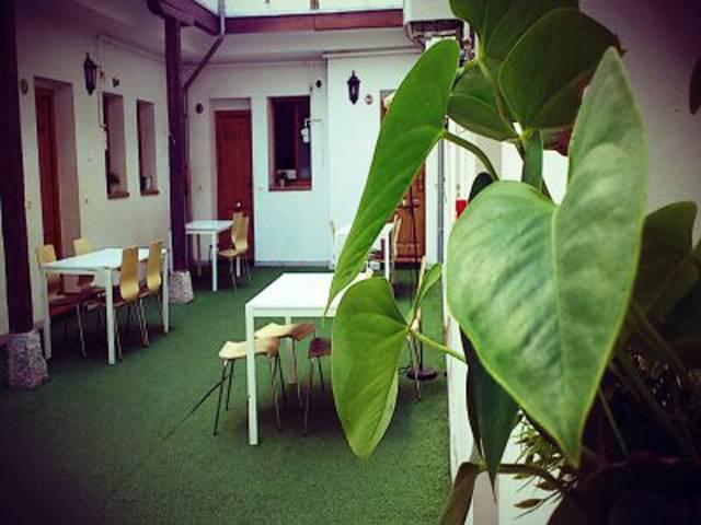 The Living Roof Hostel Madrid Interieur foto